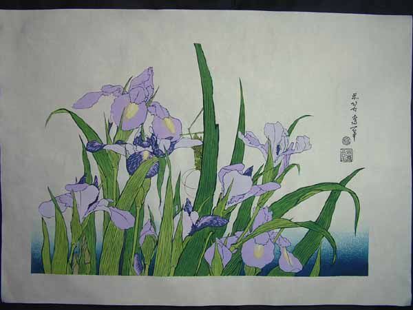 *Reproduktion des Holzschnitts Ukiyo-e von Katsushika Hokusai, Zikaden auf Iris, Malerei, Ukiyo-e, Drucke, Andere