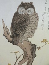 *【復刻木版浮世絵】喜多川歌麿『百千鳥狂歌合　木莵・鷽』_画像3