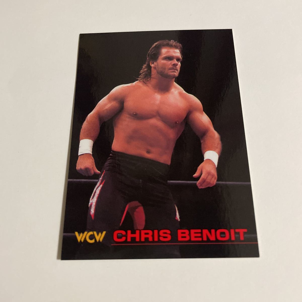 入荷中 クリス・ベノワ 直筆サイン色紙☆ワイルドペガサス WWE 新日本