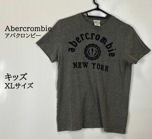 Abercrombie（アバクロンビー）半袖Tシャツ　サイズXL　刺ロゴ　グレー　キッズ