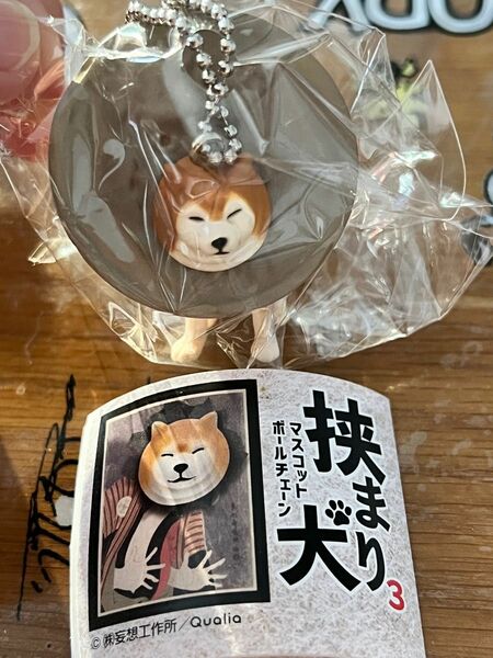 挟まり犬 ガチャガチャ 柴犬 キーホルダー 真実の口