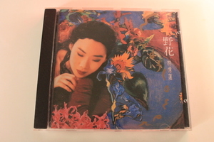 CD管三◆Sandy Lam 野花◆サンディラム香港盤2700