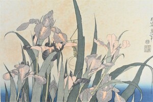 Art hand Auction インテリアとしても楽しめます 葛飾北斎 木版画 名撰集より｢菖蒲ときりぎりす｣ 額付き 【正光画廊】, 美術品, 版画, 木版画