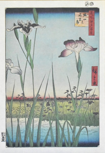  three large ukiyoe .: wide -ply . made name place Edo 100 . woodcut [. cut. flower ..] * amount attaching regular light ..