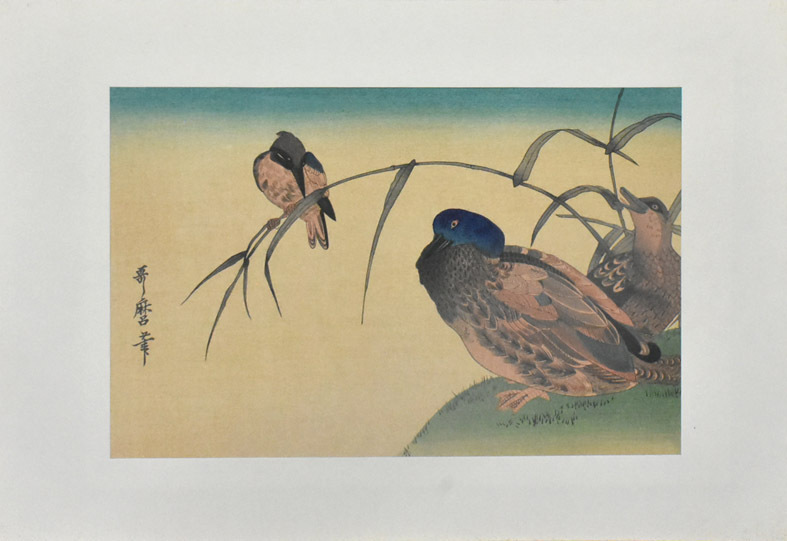 2025年最新】Yahoo!オークション -花鳥風月(木版画)の中古品 2025年最新】Yahoo!オークション -花鳥風月(木版画)の中古品