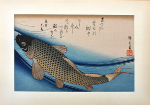  three large ukiyoe .. version wide -ply masterpiece selection tree version hand . woodcut [ common carp. map ] * amount attaching regular light ..