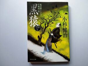 小杉健治著　風烈廻り与力　青柳剣一郎　25　黒猿　同梱可能