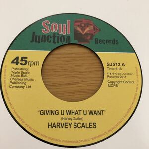 7' Harvey Scales - Giving U What U Want