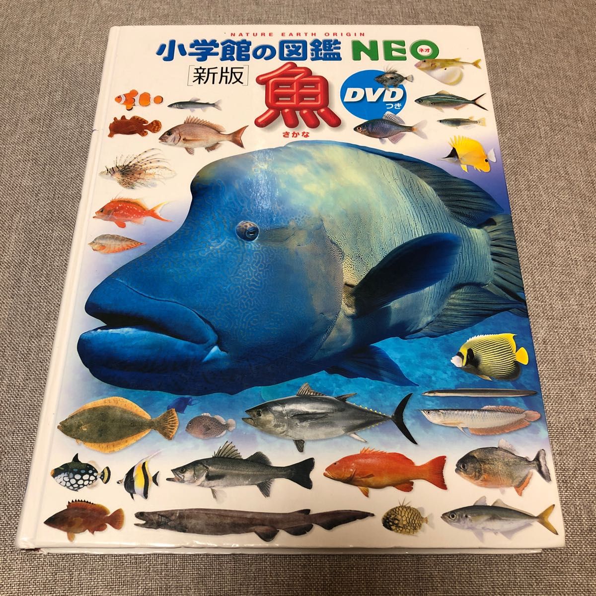 新品同様☆小学館の図鑑NEO 19冊セット ※本のみ、DVD無し-