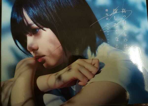 【送料無料】欅坂46/1stアルバム　「真っ白なものは汚したくなる」タイプA CD+DVD