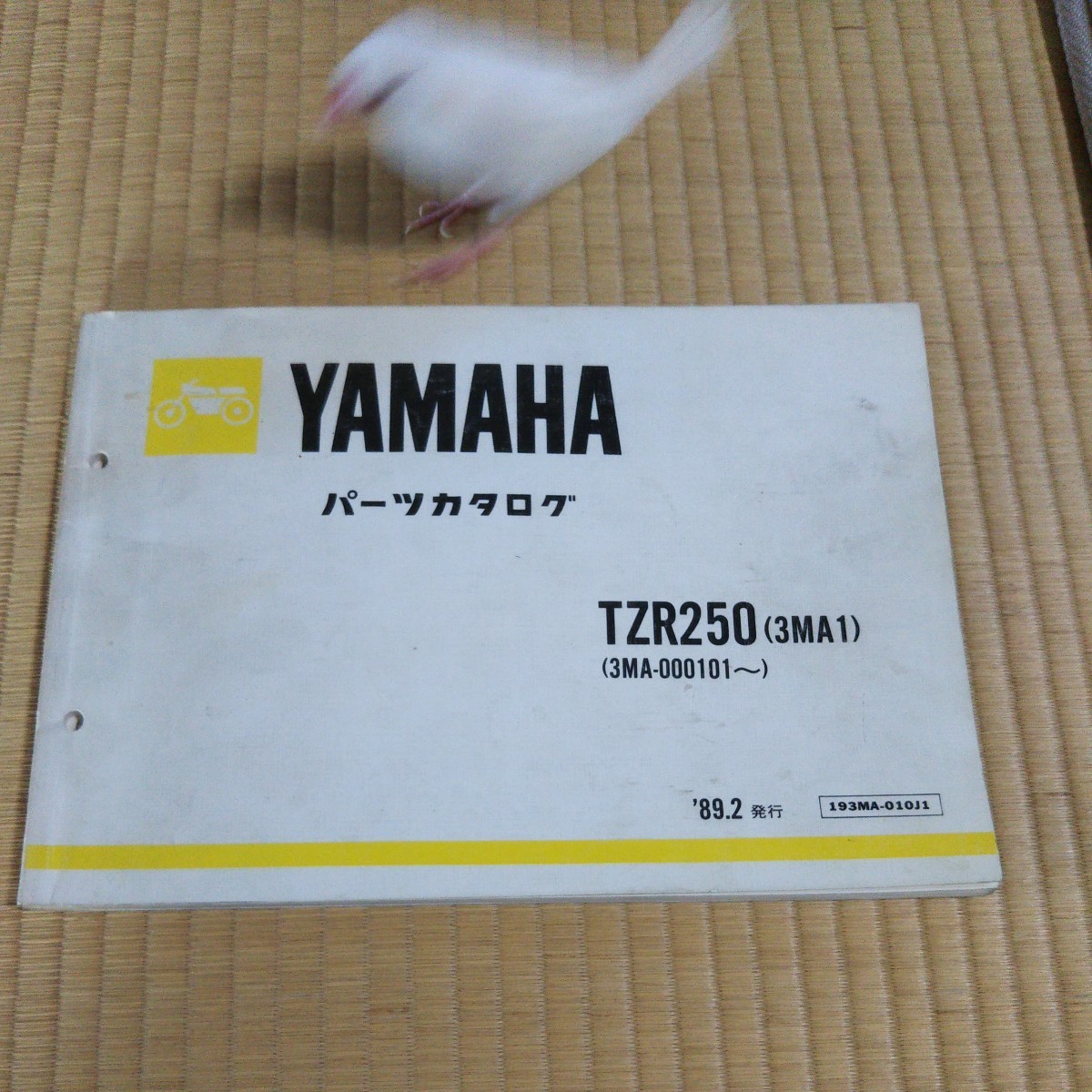 セール特価 イエローコーン ライディングMA-1ジャケット ライディング