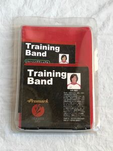 体幹チューブ　Training Band （株）サクライ貿易