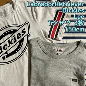 Tシャツ 3枚 Lee Dickies LabradorRetriever 150cm
