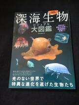 深海生物　ビジュアル大図鑑　ダイオウイカ　稀少　巨大ザメ　タコ　クラゲ　アンコウ　エビ　ウナギ　シーラカンス　特異な進化　海底　_画像1