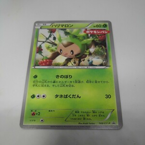 ポケモンカード ハリマロン ポケモンパン