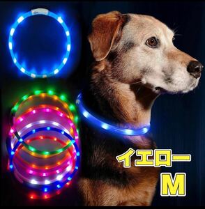 犬用 LEDライト 首輪 安全 USB 充電 中型犬 蛍光 Mサイズ イエロー 黄色