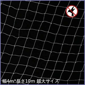 防鳥ネット ベランダ鳥よけネット 幅4m×長さ10m カラス 鳩対策防鳥網 果樹守りや野菜栽培や防獣ネット Xiaz