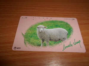 羊のテレホンカード使用済み残度数無し1枚