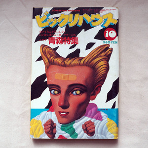 ◆ 送料無料 ビックリハウス 1982年10月号　高橋幸宏 鈴木慶一 土屋昌巳 新沼謙治 三上寛 ◆