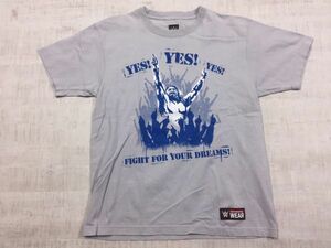 【送料無料】 ブライアンダニエルソン BRYAN DANIELSON WWE AEW プロレス 格闘技 グッズ 半袖Tシャツ カットソー メンズ L ライトグレー