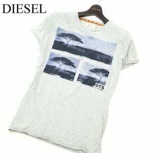 DIESEL ディーゼル 春夏 半袖 フォトプリント★ ポケット カットソー Tシャツ Sz.S　メンズ グレー　C3T03417_4#A