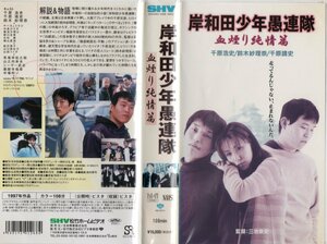 岸和田少年愚連隊　血煙り純情篇　鈴木紗理奈/千原浩史/千原靖史　VHS