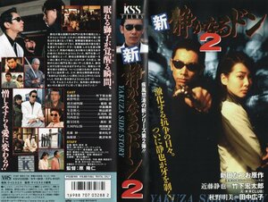 新 静かなるドン2　竹下宏太郎/田中広子/黒沢年男　VHS