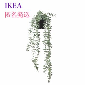 【新品】IKEA イケア フェイカ 人工観葉植物 つり下げ型 ユーカリ9 cm 複数購入も出来ます♪ 吊り下げ紐や鉢はありません。