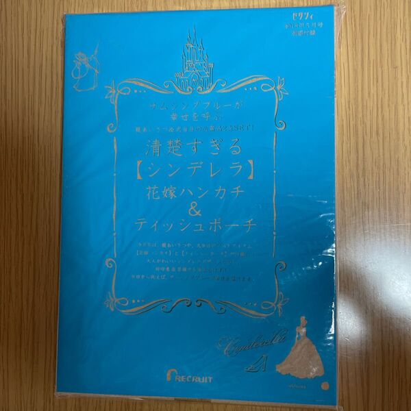 雑誌付録 清楚すぎる【シンデレラ】花嫁ハンカチ&ティッシュポーチ