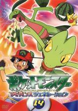 ポケットモンスター アドバンスジェネレーション 14 レンタル落ち 中古 DVD