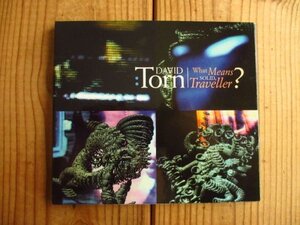 David Torn / デヴィッドトーン / What Means Solid, Traveller? [CMP Records / CMP CD 1012]