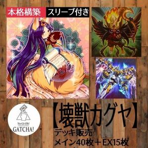 即日発送！大会用【壊獣カグヤ】デッキ　遊戯王