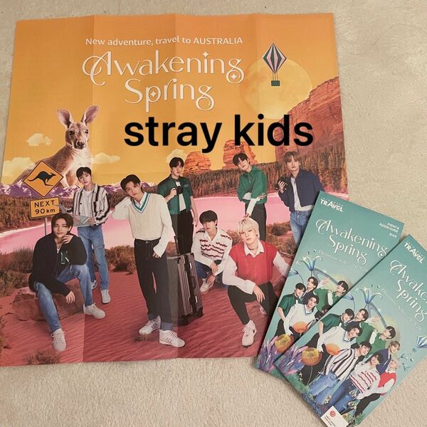 stray kids パンフレット　非売品