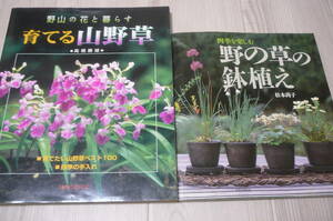 ●育てる山野草　野山の花と暮らす 高橋勝雄／著＆野の草の鉢植え　松本尚子著　古本