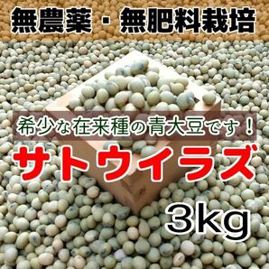 希少 在来種 青大豆 無農薬無肥料栽培 サトウイラズ 3kg
