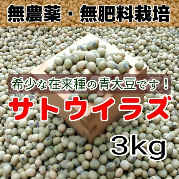 希少 在来種 青大豆 無農薬無肥料栽培 サトウイラズ 3kg