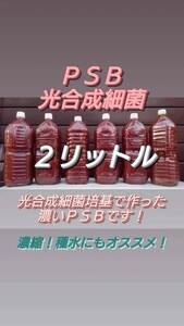 特価【AQUAいろ】濃縮ＰＳＢ２リットル　当店のＰＳＢは光合成培基で培養しています！種水にもオススメ　 同梱包可能　即決可能　№３