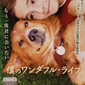 中古Blu-ray　僕のワンダフル・ライフ