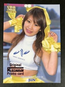 JUN　SRQ 2006 GT　RCRQ　3/9　レースクイーン グラビア アイドル トレカ トレーディングカード　