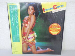LP レコード 帯 IRENE CARA アイリーン キャラ WHAT A FEELIN フラッシュダンス ホワット ア フィーリン【E+】 H1467S