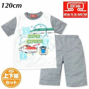  new goods 60495.. Tama 120cm white / gray short sleeves pyjamas room wear short sleeves short pants T suit is ....... whirligig . shorts 