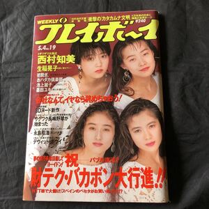 NA2995N378　週刊プレイボーイ No19 西村知美　生稲晃子　1993年5月発行