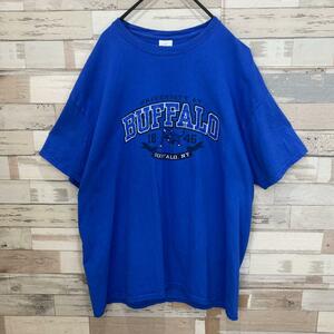 GILDAN ギルダン カレッジTシャツ アメカジ バックプリント 古着 XL メンズ レディース