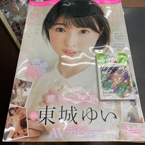 非売品 AV ポスター 未使用品 カワイイ　東城ゆい　avデビュー 新人