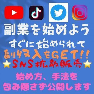 ●即決専用● 副業を始めよう!! 手法公開 簡単 副収入 YouTube 登録者 再生回数 増加 収益化 twitter Instagram TikTok フォロワー