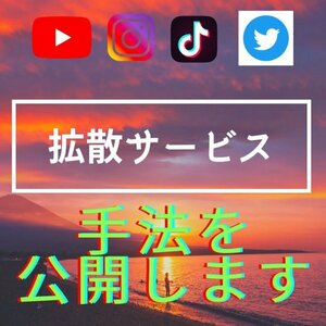 【Twitter】拡散サービスの手法販売【再生回数・フォロワー・いいね】【Twitter・Instagram・TikTok・YouTube対応】