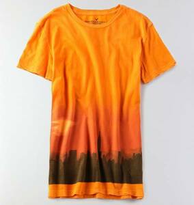 AE アメリカンイーグル men's フォトリアル 半袖Ｔシャツ size XS 