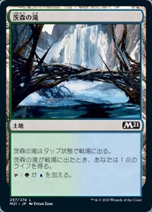 MTG ■土地/日本語版■ 《茨森の滝/Thornwood Falls》基本セット2021 M21