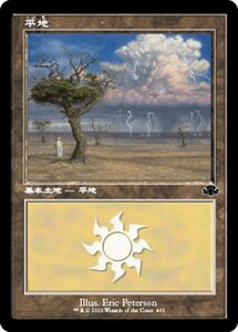 MTG ■土地/日本語版■ 《平地/Plains》★旧枠FOIL★ ドミナリア・リマスター DMR