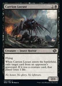 MTG ■黒/英語版■ 《屍肉蝗/Carrion Locust》兄弟戦争 BRO